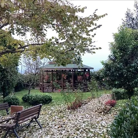 Villa Village Otantik Park - Havuzlu Muestakil Vip